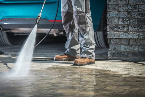 Best Fleet Vehicle Washing  in Immokalee, FL